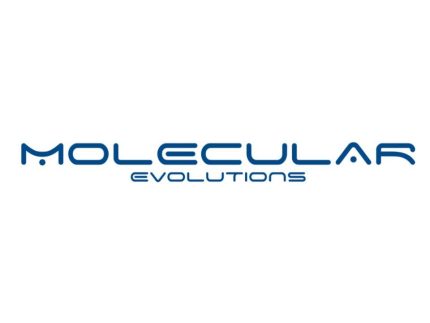 MOLECULAR EVOLUTIONS