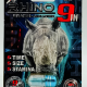 Rhino 9in Titanium 100000 Male Enhancement