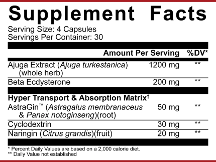 5% Nutrition: Turkesterone 1200, 120 Capsules