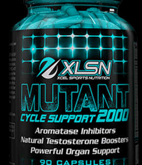 XCEL Sports: XLSN Mutant Cycle Support 2000