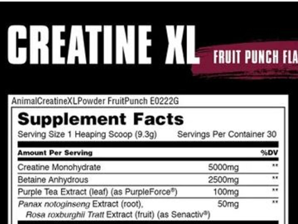 Universal: Animal Creatine XL Powder
