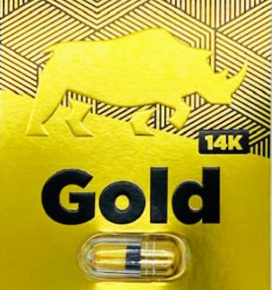 Rhino: 14k Gold
