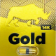 Rhino: 14k Gold