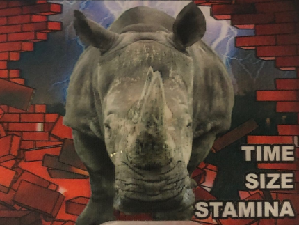 Rhino: Rhino 69 Extreme 60000 Male Enhancement